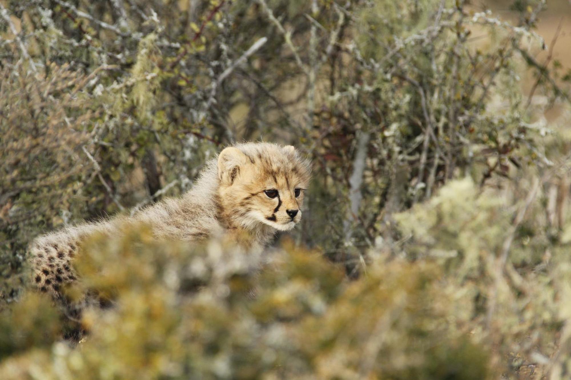 Kwandwe Private Game Reserve - Great Fish River Lodge Grahamstown Esterno foto