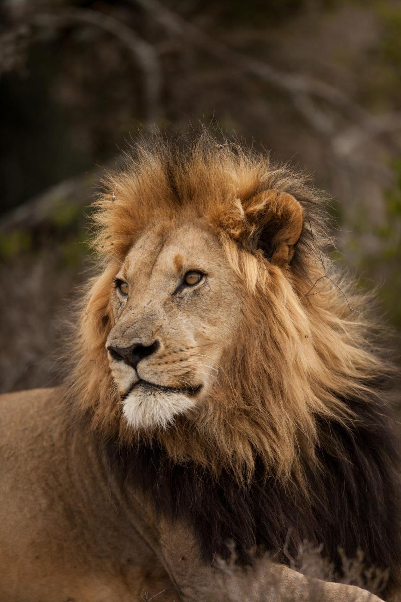 Kwandwe Private Game Reserve - Great Fish River Lodge Grahamstown Esterno foto