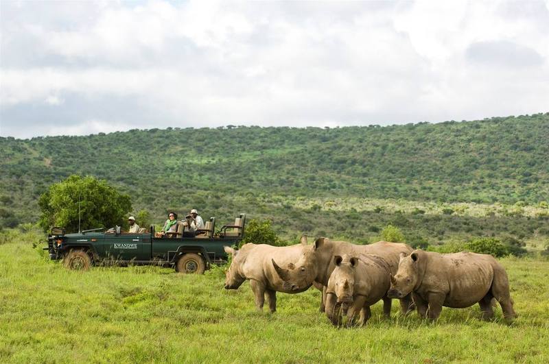Kwandwe Private Game Reserve - Great Fish River Lodge Grahamstown Esterno foto