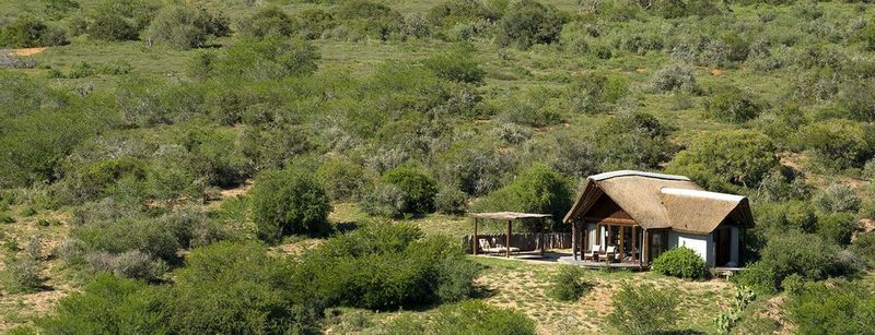 Kwandwe Private Game Reserve - Great Fish River Lodge Grahamstown Esterno foto
