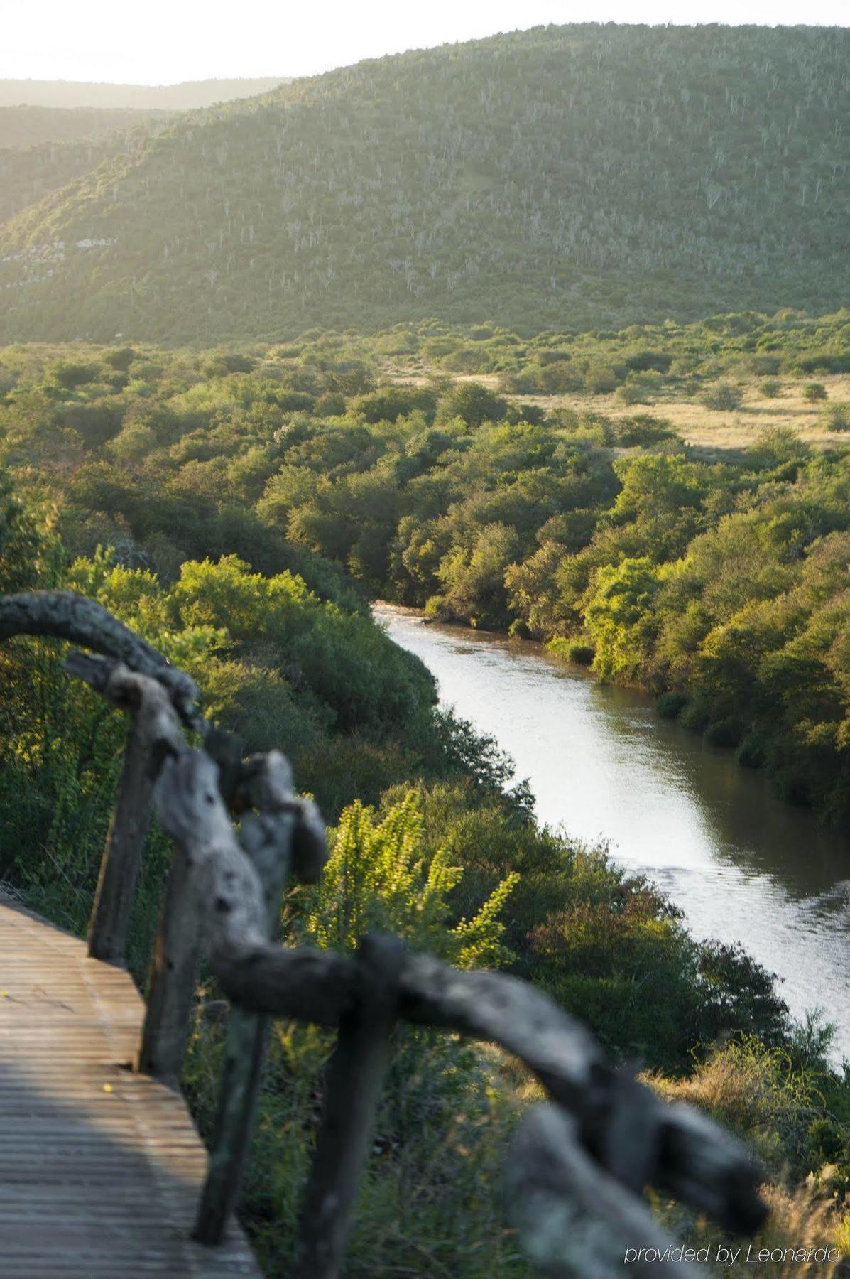 Kwandwe Private Game Reserve - Great Fish River Lodge Grahamstown Esterno foto