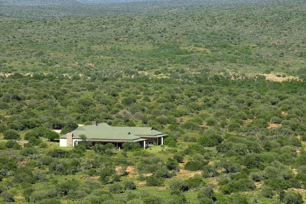 Kwandwe Private Game Reserve - Great Fish River Lodge Grahamstown Esterno foto