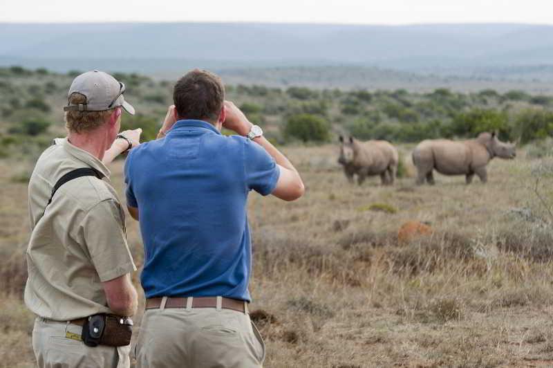 Kwandwe Private Game Reserve - Great Fish River Lodge Grahamstown Esterno foto