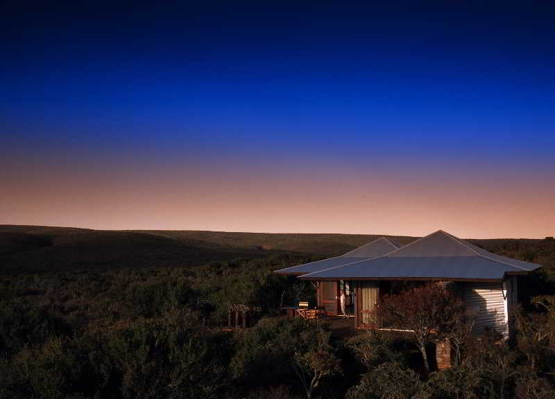 Kwandwe Private Game Reserve - Great Fish River Lodge Grahamstown Esterno foto