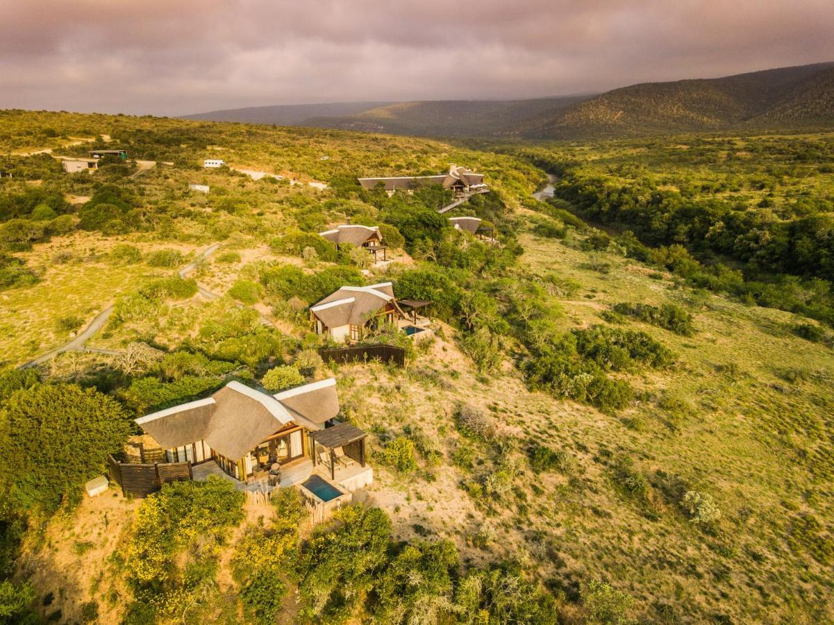 Kwandwe Private Game Reserve - Great Fish River Lodge Grahamstown Esterno foto